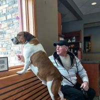 McKean Veterinary Hospital ico
