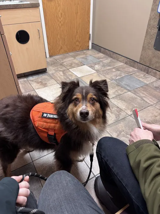 McKean Veterinary Hospital 6
