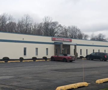 The Animal Clinic