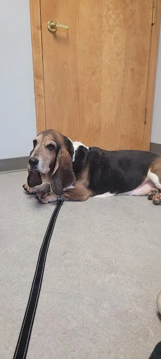 Millcreek Animal Hospital 4