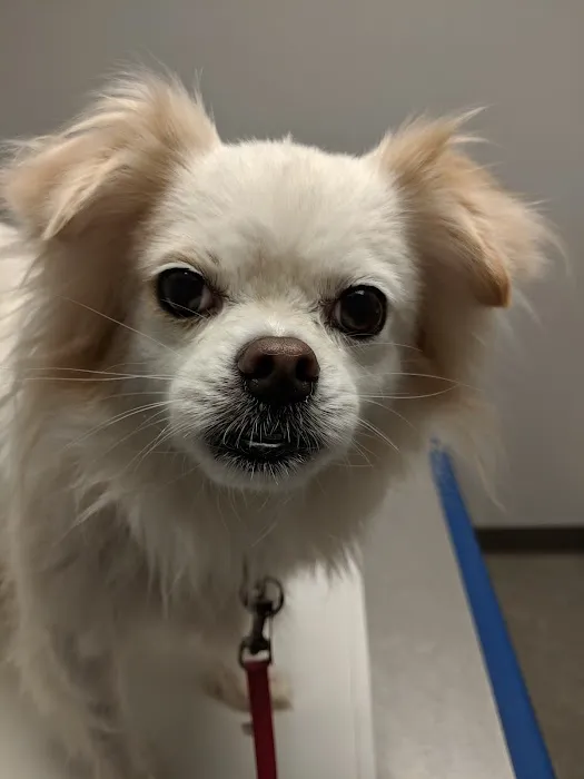Millcreek Animal Hospital 8