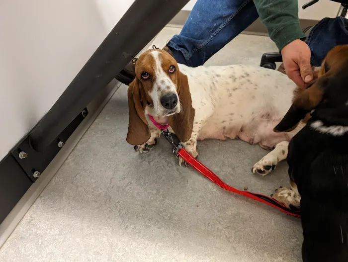 Millcreek Animal Hospital 10