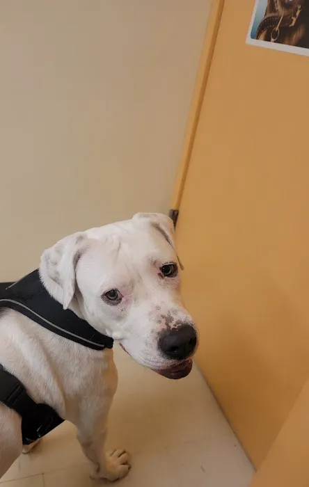 Erie Animal Hospital 10