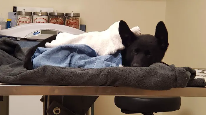 Erie Animal Hospital 2