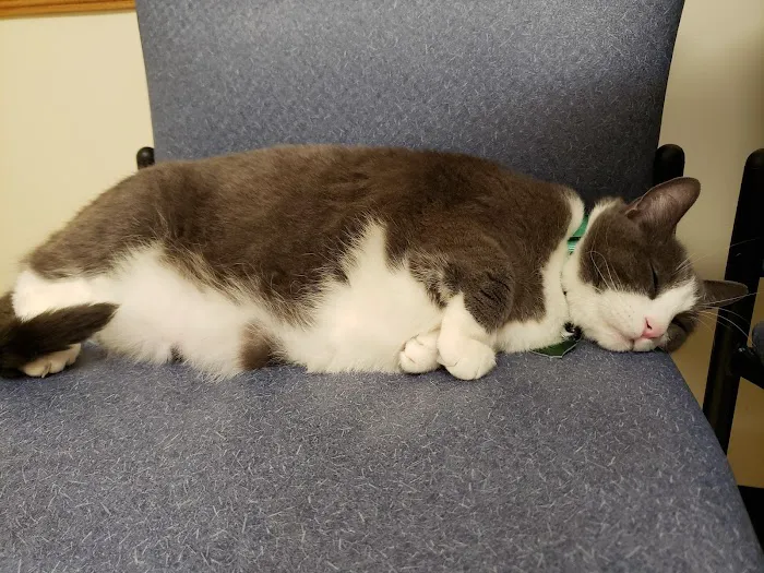 Erie Animal Hospital 4