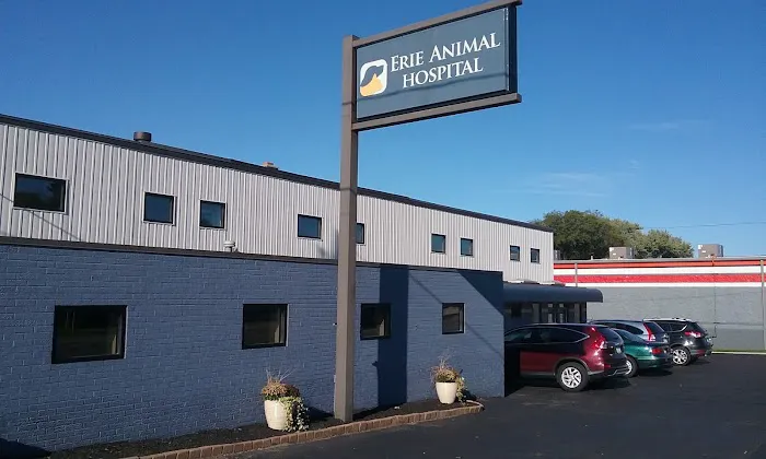 Erie Animal Hospital 3