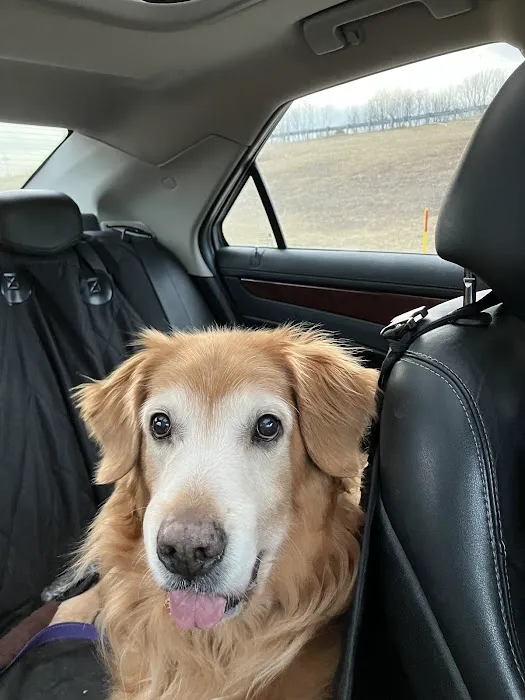 Erie Animal Hospital 6