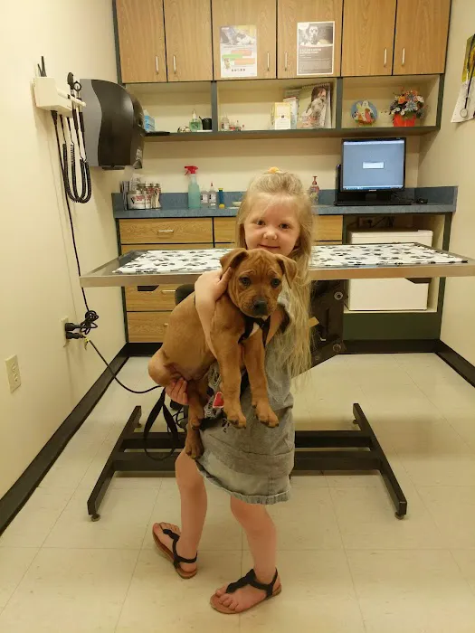 Erie Animal Hospital 7