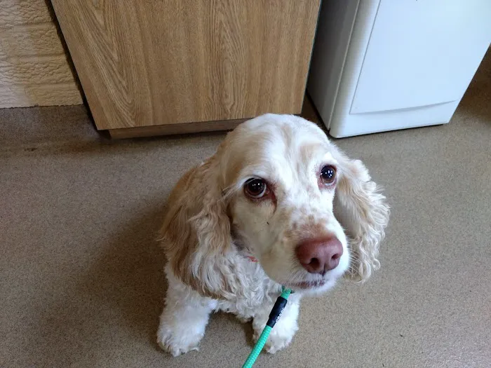 Erie Animal Hospital 9