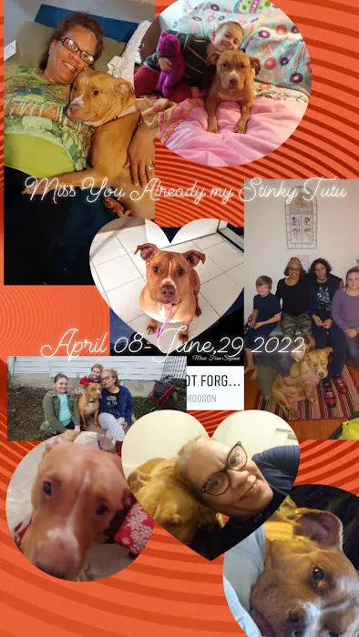 Erie Animal Hospital: Morris Stephanie DVM 1