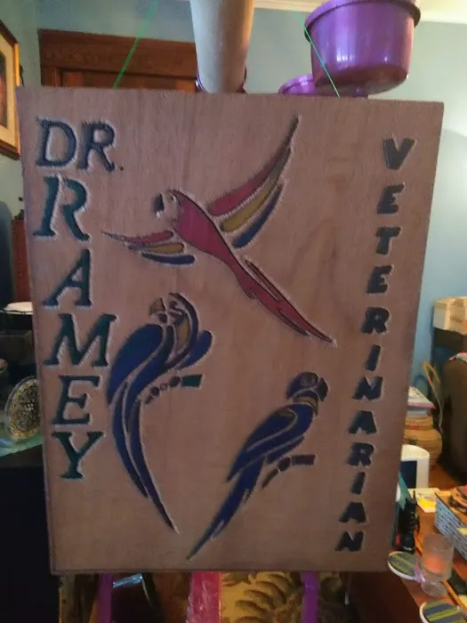Animal Ark Pet Hospital 8