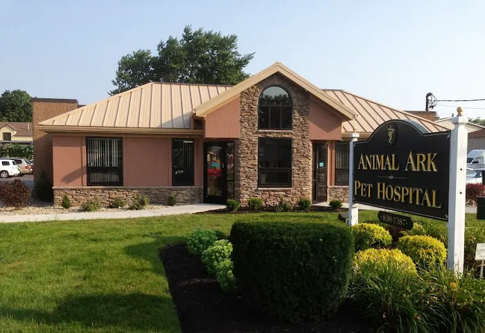 Animal Ark Pet Hospital 5
