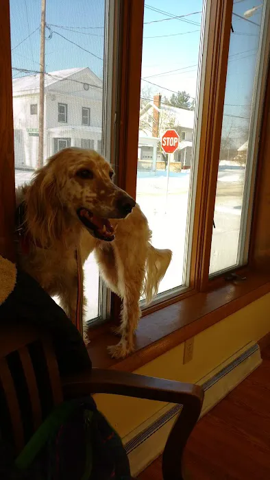 Wilde Veterinary Center 8