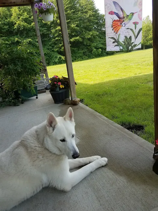 Wilde Veterinary Center 3