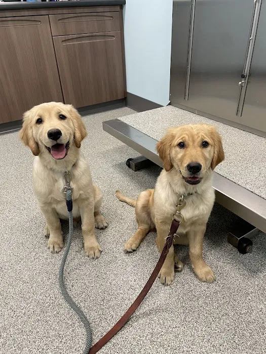 Animal Hospital of Waterford 5