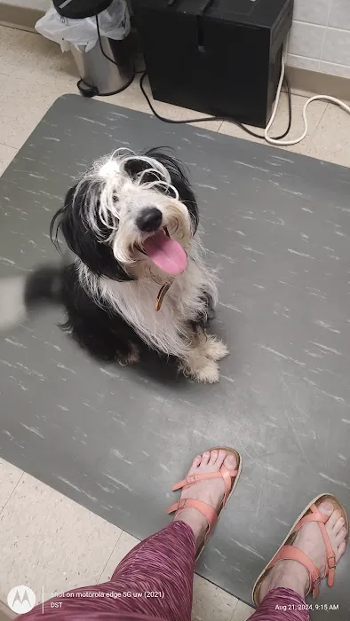 Chapman Brian R Dvm - Union City Pet Hospital 1