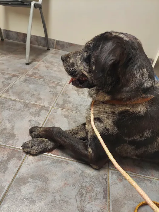 Eastside Veterinary Hospital 7