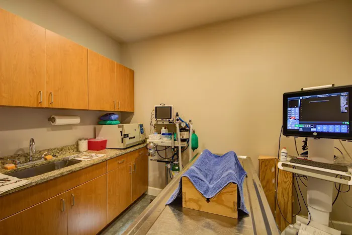 VCA Collinsville Animal Hospital 10