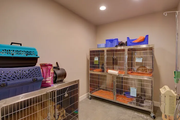VCA Collinsville Animal Hospital 4