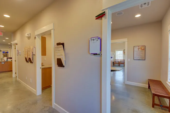 VCA Collinsville Animal Hospital 2
