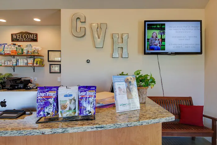 VCA Collinsville Animal Hospital 6
