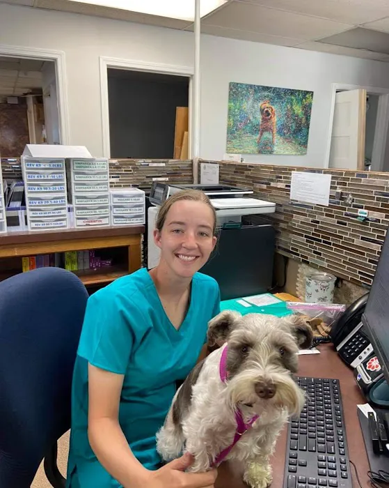 The Ark Animal Hospital 6