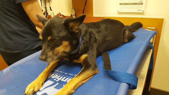 Banfield Pet Hospital 9
