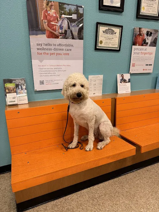 Banfield Pet Hospital 1