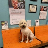 Banfield Pet Hospital ico