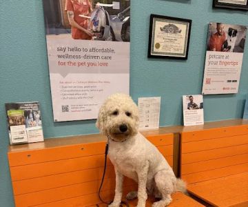 Banfield Pet Hospital