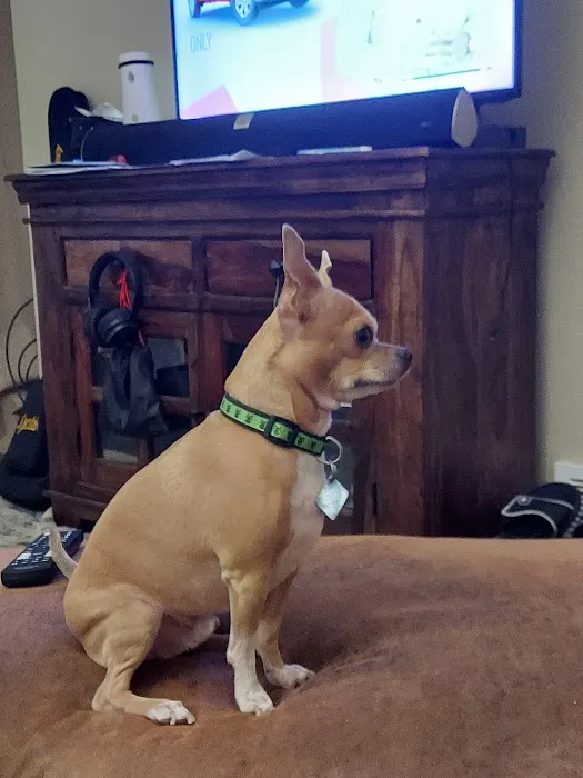 Banfield Pet Hospital 3