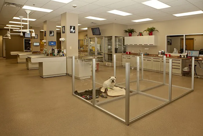 SAHO Owasso Animal Hospital 1