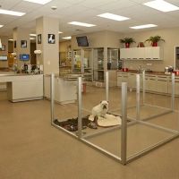 SAHO Owasso Animal Hospital ico