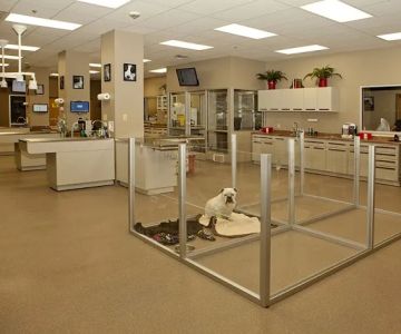 SAHO Owasso Animal Hospital