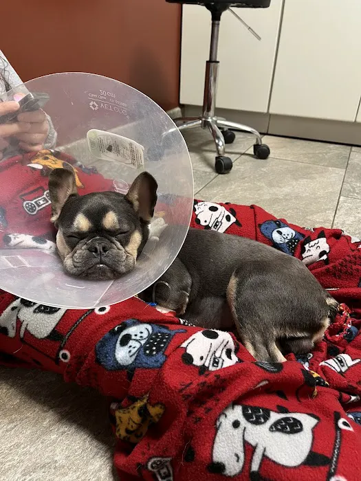 SAHO Owasso Animal Hospital 9