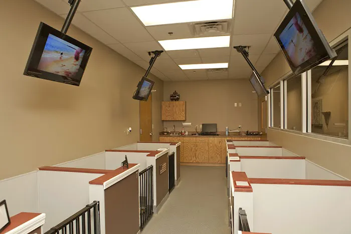 SAHO Owasso Animal Hospital 5