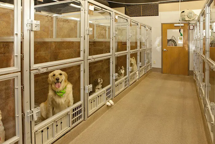 SAHO Owasso Animal Hospital 6