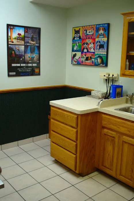 VCA Owasso Animal Medical Center 9