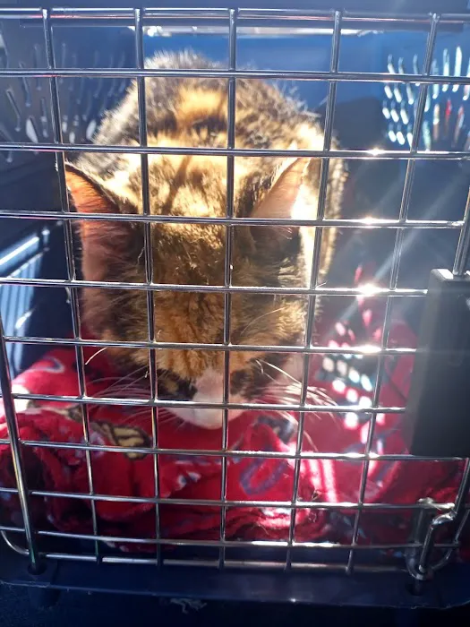 VCA Owasso Animal Medical Center 3