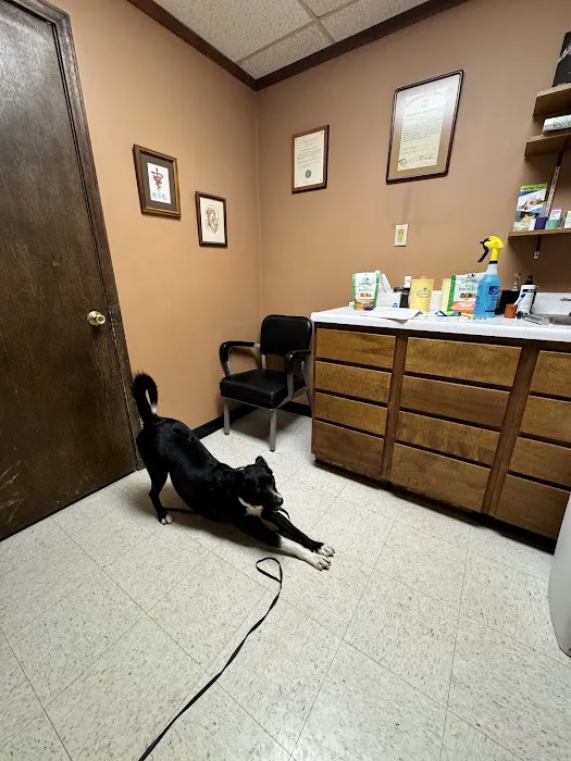 Ator Heights Animal Hospital 10
