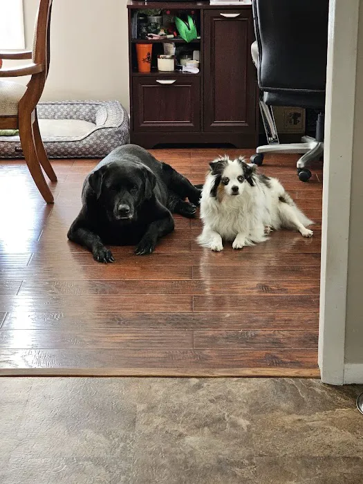 Ator Heights Animal Hospital 7
