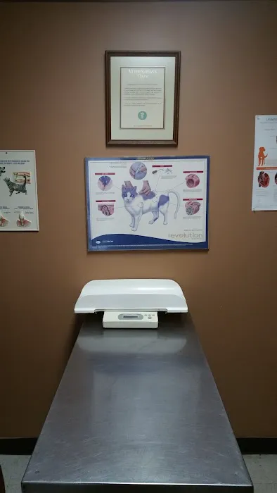 Ator Heights Animal Hospital 3