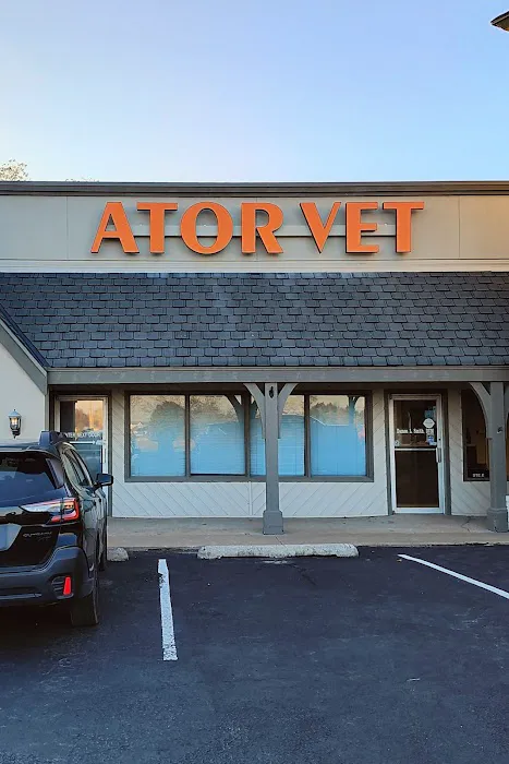Ator Heights Animal Hospital 9