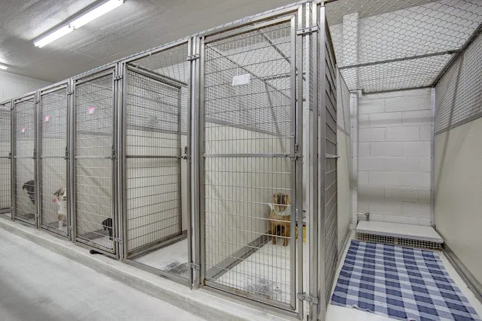 Catoosa Small Animal Hospital 8