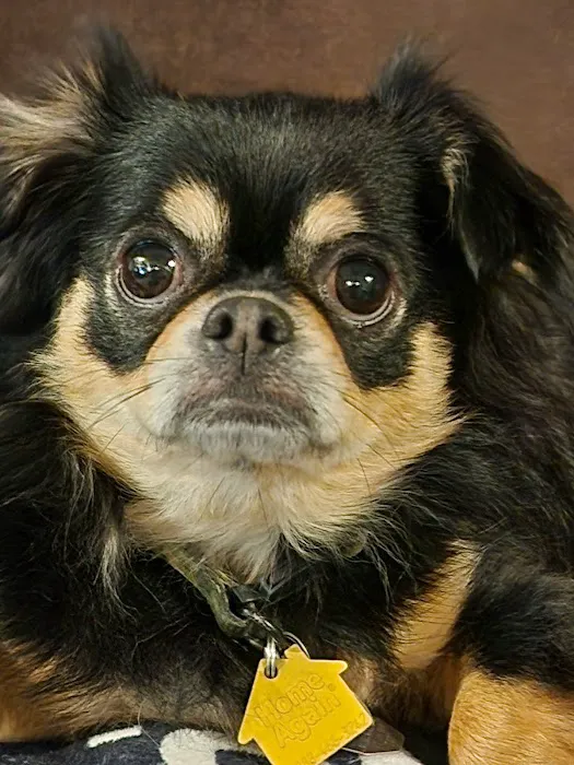 Madison Pet Clinic 3