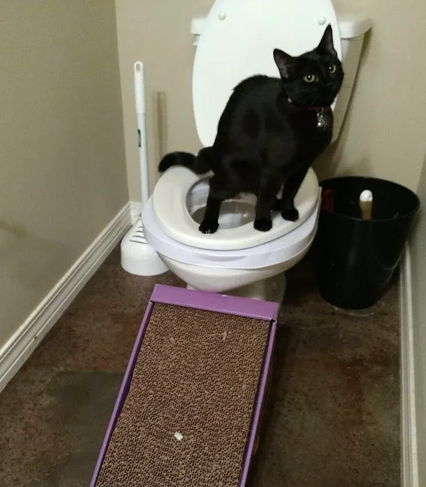 Madison Pet Clinic 8
