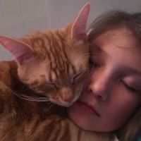 Animal Medical Center ico