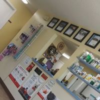 Manley Animal Hospital ico