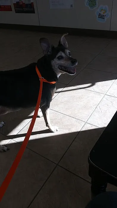 Manley Animal Hospital 8