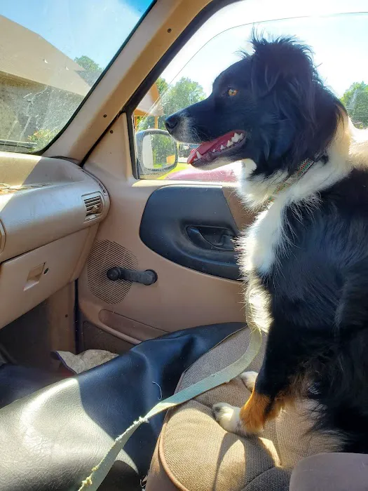 Companion Animal Clinic of Bartlesville 3